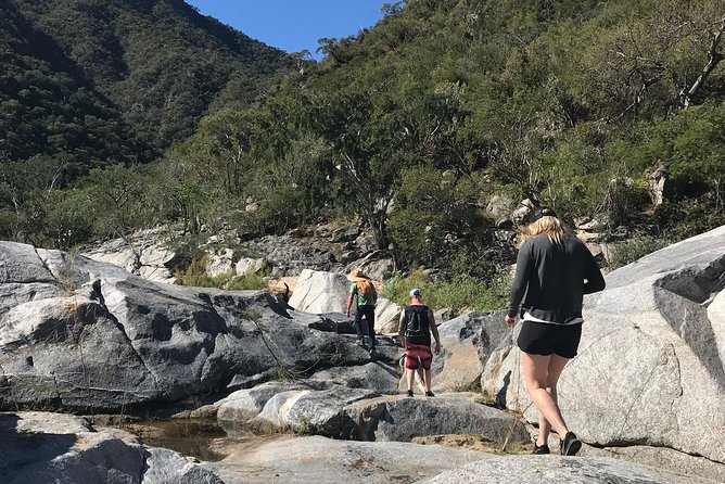 Hike the native Pericu road in Sierra de la Laguna. - Key highlights you should care about