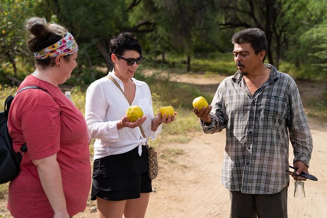 Hike the native Pericu road in Sierra de la Laguna. - Damiana tasting and the rancho lunch: food you actually remember