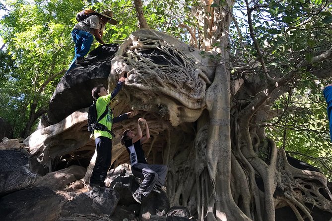 Hike the native Pericu road in Sierra de la Laguna. - Natural swimming holes: how to enjoy the water without turning it into a slip-and-fall story