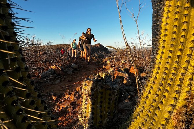 Hiking Todos Santos at Sunset - Why Todos Santos at sunset feels like a real Cabo escape