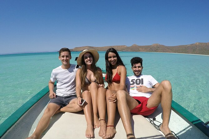 holy spirit island tour - Snorkeling coral reefs and spotting marine life that pops up fast