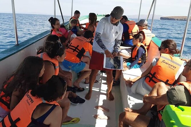 holy spirit island tour - The crew makes the difference, and named guides get praise