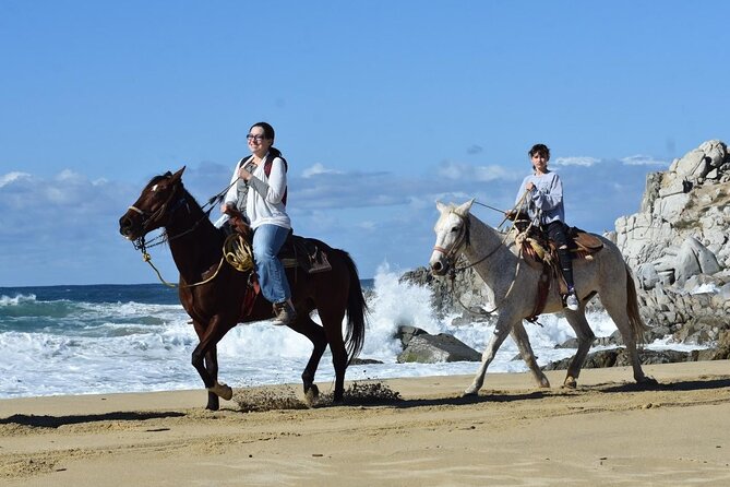 Horse Back Ridding Tour on the Pacific Ocean & Desert - Pacific Meets Desert: What This 3-Hour Horse Ride Really Feels Like
