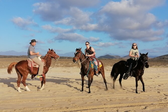 Horseback riding - Horseback in Todos Santos: The Real Value