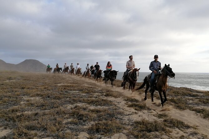 Horseback riding - Daniel’s Coaching and the Horses: Confidence Is Part of the Product