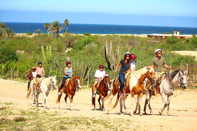 Horseback Riding Adventure in Playa Migriño with Tequila Tasting - Price and Value: What $119.47 Really Covers