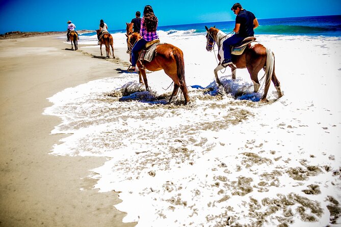 Horseback Riding Adventure in Playa Migriño with Tequila Tasting - Stop 1, Playa Migriño: Sea Sand Riding and the Big Ocean View