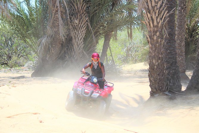 Horseback Riding & ATV Combo! Mountain Trails & Beautiful Beaches of BAJA! - What to Expect from the Physical Side of the Tour