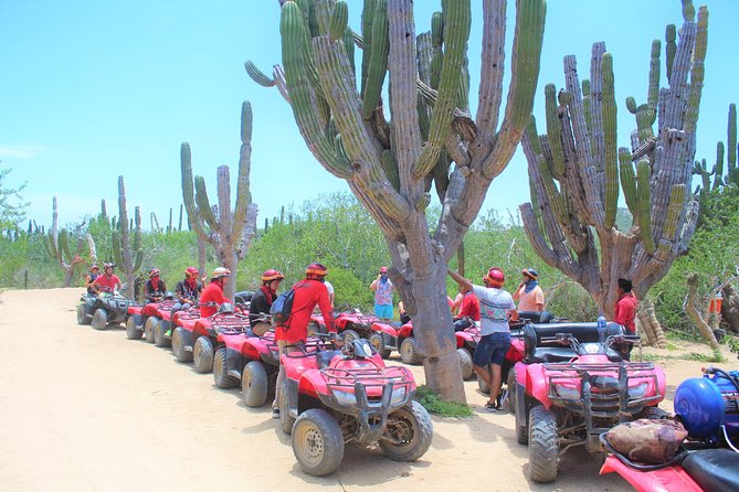 Horseback Riding & ATV Combo! Mountain Trails & Beautiful Beaches of BAJA! - Playa Migrino on the Pacific Side: ATV Trails You Cannot Reach by Car