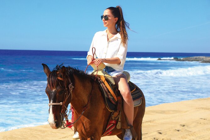Horseback Riding Beach and Desert Adventure - Key Highlights You Should Not Miss