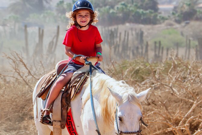 Horseback Riding Beach and Desert Adventure - Getting There From Cabo and San Jose Without the Stress
