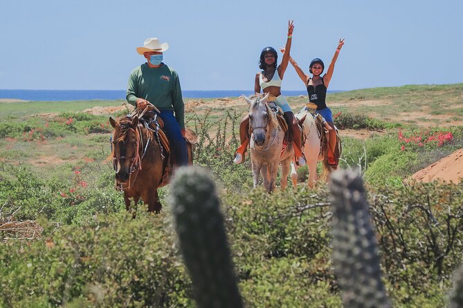 Horseback Riding Beach and Desert in Cabo - Key things to know before you go