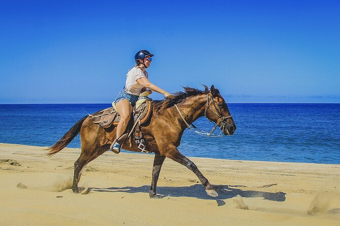 Horseback Riding Beach and Desert in Cabo - From hotel pickup to Baja trail base camp: how the day starts