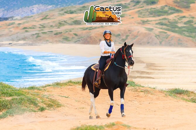 Horseback Riding Beach and Desert in Cabo - Timing, group size, and why your ride may feel different than you expect