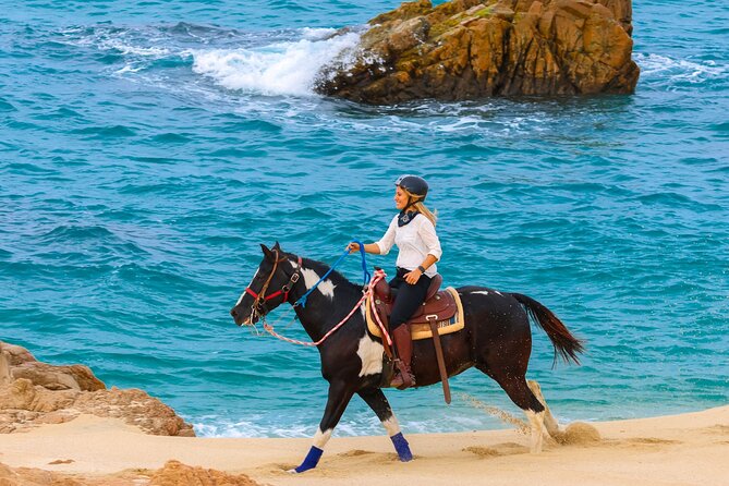 Horseback Riding Beach and Desert in Cabo - Should you book? My practical take