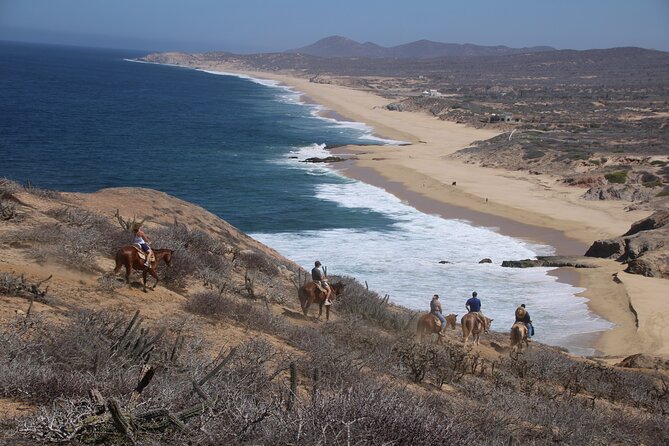 Horseback Riding Experience in Rancho San Cristobal - From Pickup to Saddle Time: What the First Phase Feels Like