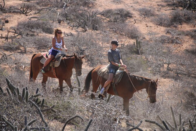 Horseback Riding Experience in Rancho San Cristobal - Practical Tips So You Enjoy Every Minute