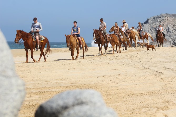 Horseback Riding Tour in Cabo San Lucas - Key highlights worth knowing before you go