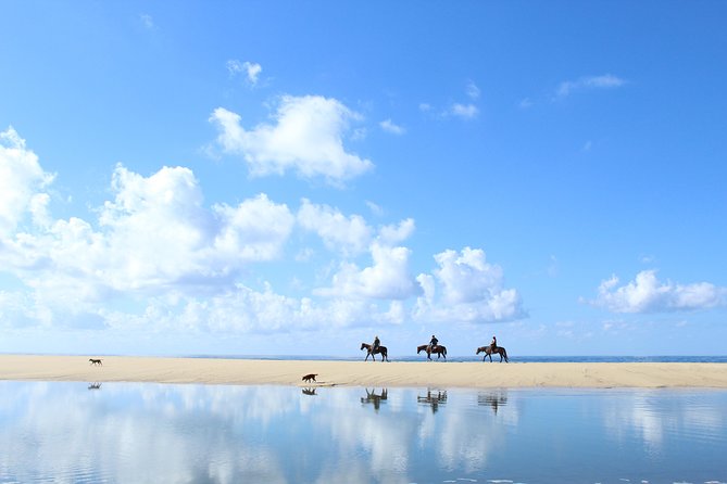 Horseback Riding Tour in Cabo San Lucas - Baja desert to Pacific beaches, in one straightforward ride
