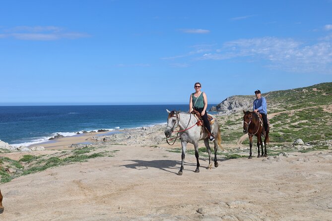 Horseback Riding Tour in Cabo San Lucas - Choosing your horse and getting comfortable fast