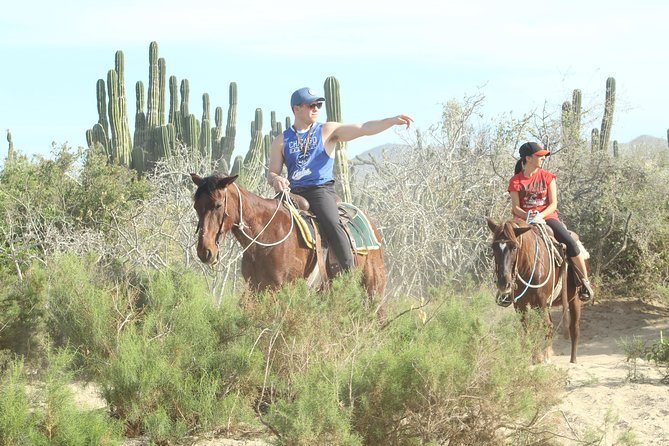 Horseback Riding Tour in Cabo San Lucas - Photos, an ATV helper, and the extra costs to plan for