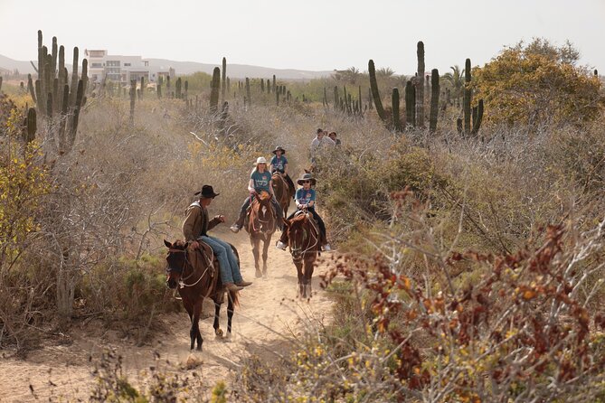 Horseback Riding Tour in Cabo San Lucas - Turtle conservation: why it’s more than a photo stop