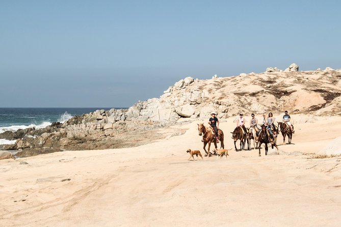 Horseback Riding Tour in Cabo San Lucas - What’s included, what’s extra, and the small comforts that help