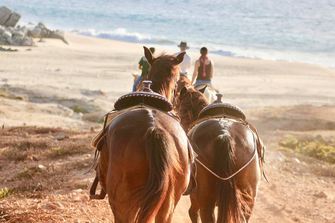 Horseback Riding Tour in Cabo San Lucas - Price, entrance fees, and what feels like a fair deal