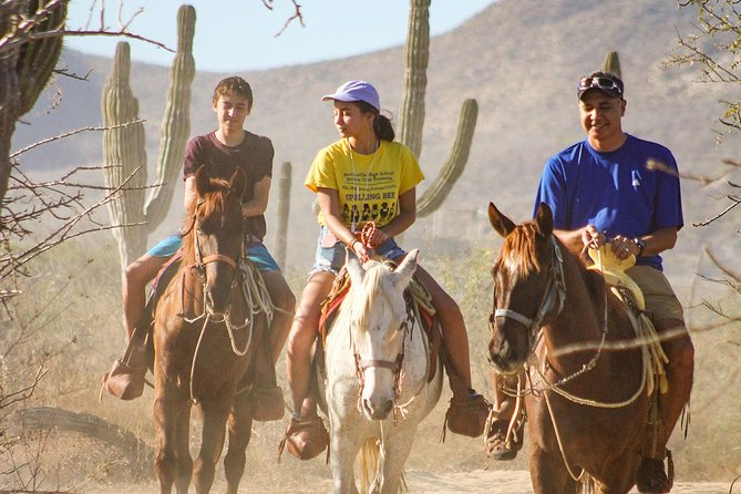 Horseback Riding Tour in Los Cabos - Key things to know before you go