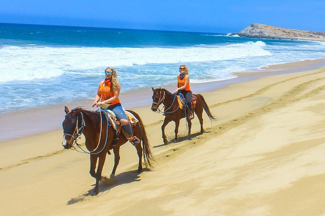 Horseback Riding Tour in Los Cabos - Animal welfare and the one thing to think about