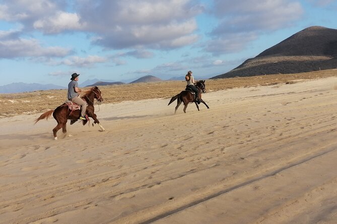 Horseback riding - Small Group Riding (Up to 5) Keeps the Coaching Personal