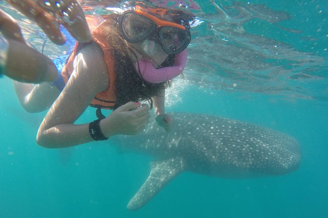 Intimate Eco-Friendly Whale Shark Encounter - Premium Service - Getting started at The Dock Cafe, La Paz, and suiting up fast