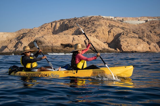 Kayak from Viudas Beach to Chileno Bay & Snorkel + Beach Time - Who this kayak and snorkeling trip fits best