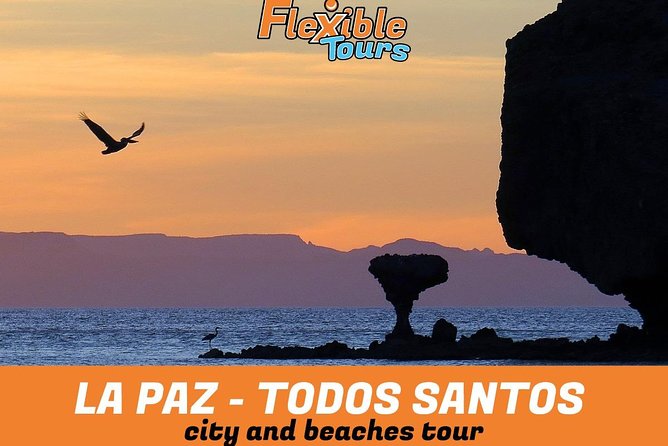 La Paz and Todos Santos City and Beaches Tour - Guide Style: Eduardo and Miguel Set the Bar
