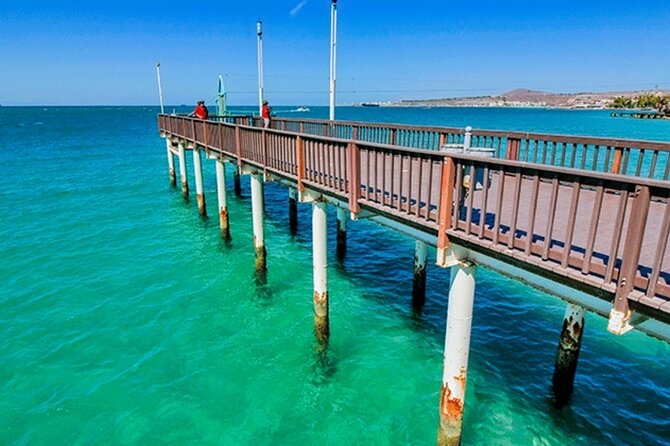 La Paz and Todos Santos Day Trip with Lunch - Leaving San Jose del Cabo at 7:30 am: the day’s rhythm