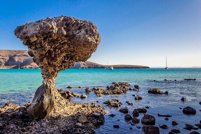 La Paz, Balandra and Todos Santos from CABO and San Jose - Playa El Coromuel: a crystal-clear breather stop