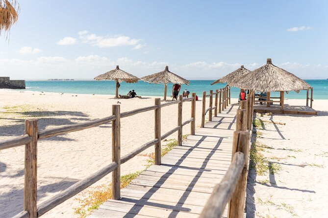La Paz Beaches Half Day Tour - Who This Tour Suits Best (And Who Might Want a Different Plan)