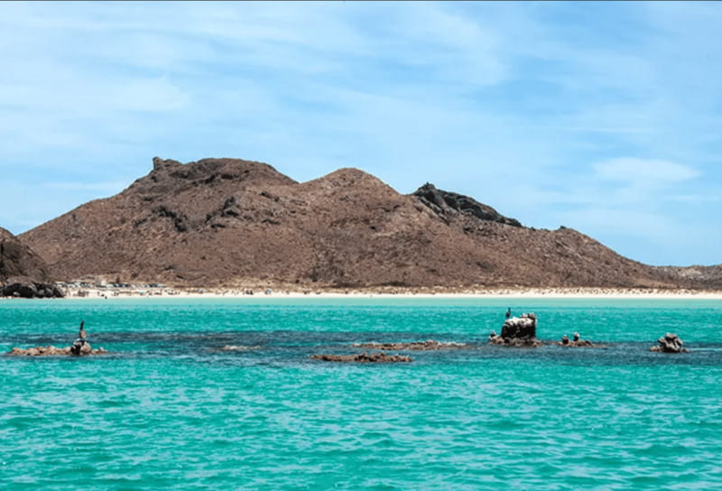 La Paz: Boat ride to Espiritu Santo island and sloop - Morning at Muelle Fiscal: Safety, the mushroom photo stop, and getting oriented