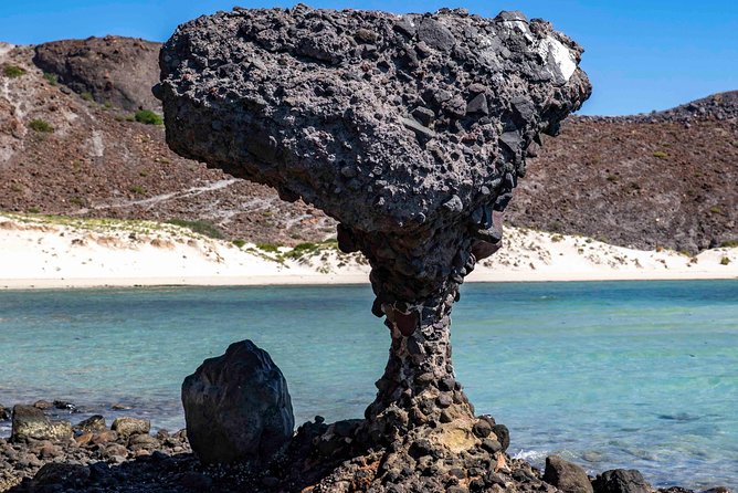 La Paz City Tour from Cabo - La Paz Malecon and downtown: your 2-hour time window