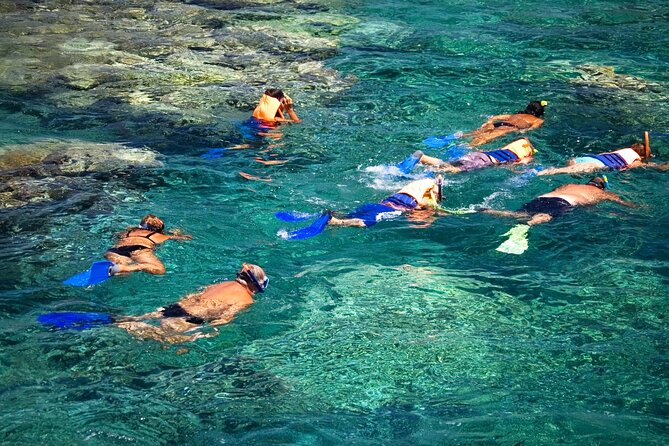 La Paz: Coral Farm Snorkel Tour - Key highlights you should know