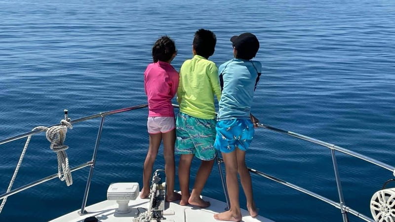 La Paz: Espiritu Santo Island and Balandra Bay Day Cruise - Should you book this cruise or look for another option?
