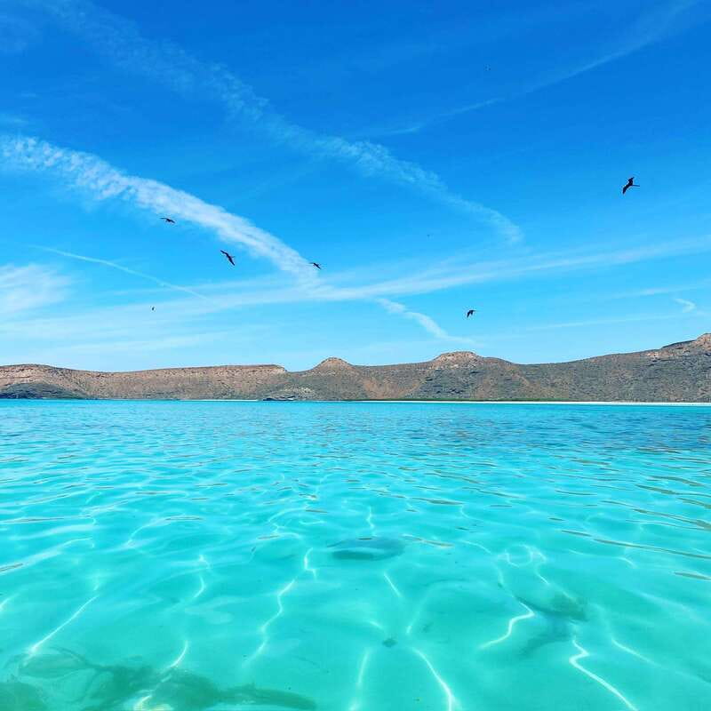 La Paz: Espiritu Santo Island Tour - Key highlights you should circle first