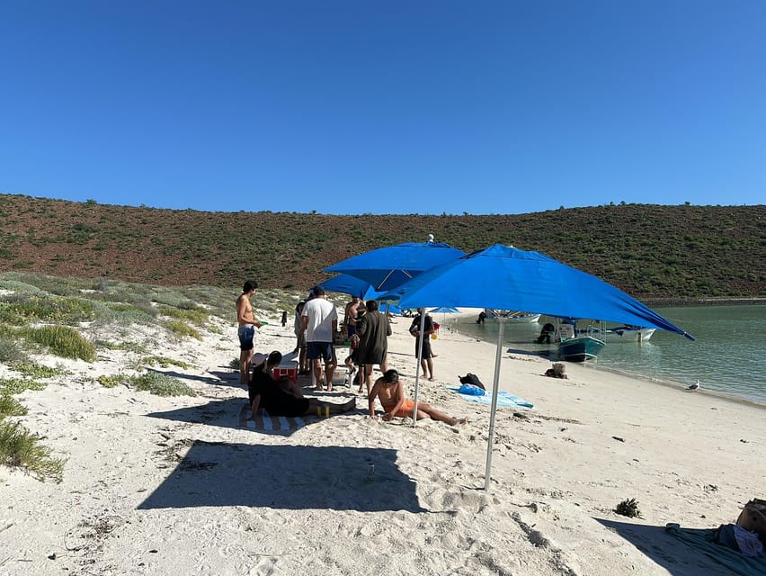 La Paz: Espiritu Santo Island Tour - The island break: lunch at the best tempo