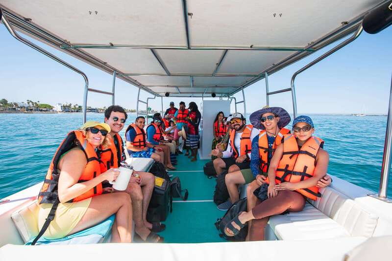 La Paz: Espiritu Santo Island Tour - San Rafaelito sea lions: magic, rules, and what to expect