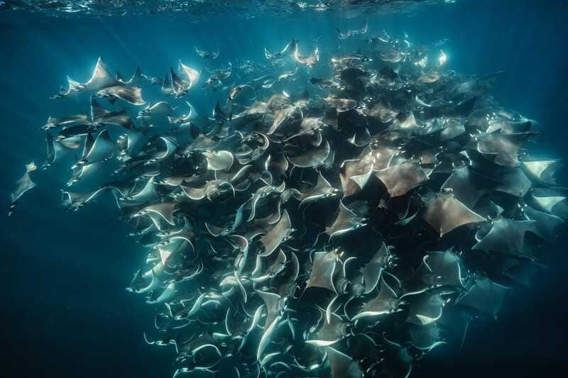 La Paz or La Ventana: Ocean Safari - Lunch and break time: when food works, and when it might not