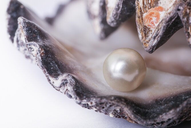 La Paz: Pearl Farm Experience and shop - Key highlights worth your time