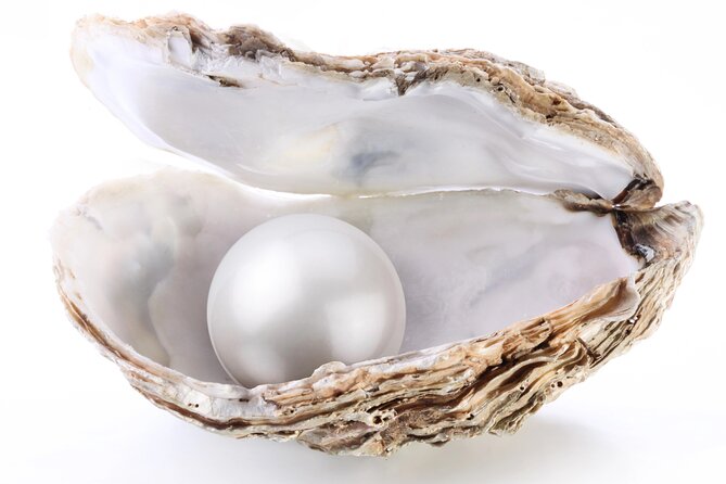 La Paz: Pearl Farm Experience and shop - The pearl-culturing lesson: from oyster care to nucleus implantation