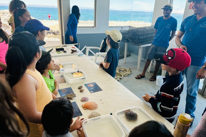 La Paz: Pearl Farm Experience and shop - The laboratory visit: where hands-on learning makes it click