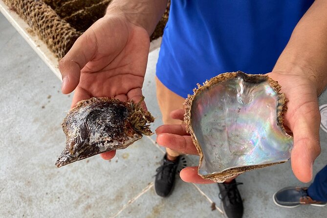 La Paz: Pearl Farm Experience and shop - Price and value for a 2-hour La Paz pearl experience