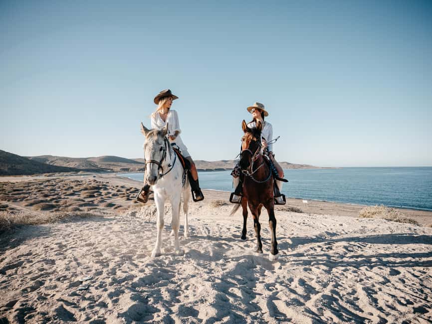 La Paz: Scenic Beach Horseback Ride - Horseback past El Coyote, desert-to-beach views in about two hours